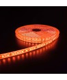 Orange 10W/m LED strip - 5m, 120 LED pr. meter, 24V, IP65