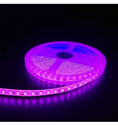 Pink 10W/m LED strip - 5m, 120 LED pr. meter, 24V, IP65