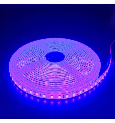 Lilla 10W/m LED strip - 5m, 120 LED pr. meter, 24V, IP65