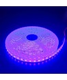 Lilla 10W/m LED strip - 5m, 120 LED pr. meter, 24V, IP65