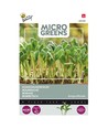 Outlet: Microgreens - Borago, almindelig hjulkrone