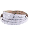 24W/m RGB+WW COB-LED strip - 5m, IP20, 840 LED pr. meter, 24V, COB LED