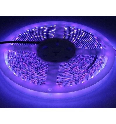 UV 400 nm 14,4W/m 24V LED strip - 5m, IP20, 60 LED pr. meter