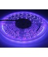 UV 400 nm 14,4W/m 24V LED strip - 5m, IP20, 60 LED pr. meter