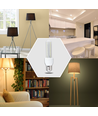 Outlet: LED B5 T3 2U 8W 3000K - HEWEC